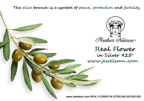 Large Hoop Earrings: Olive Branch Design - Silver or Gold Plated