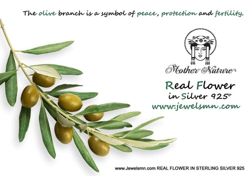 Olive Leaf Earrings: Sterling Silver Dangles - Mixed Metal Finish