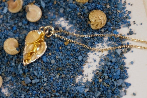 Nature-Inspired Heart Shell Necklace, Sterling Silver (Handmade)